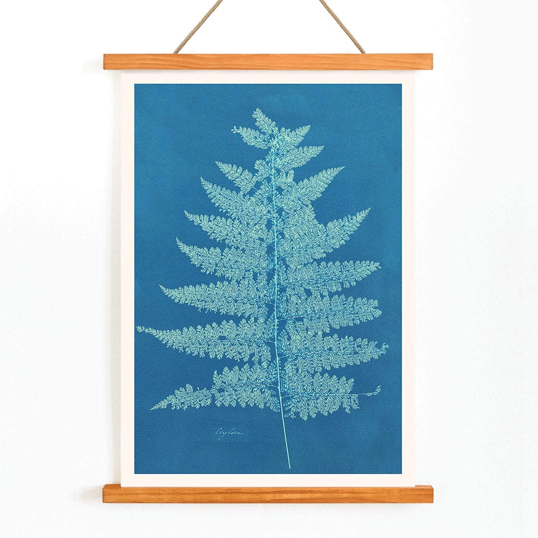 Fern Cianotipia botanical cyanotype artwork by Anna Atkins showing a detailed fern against a blue background poster, with wooden magnetic frame on white background
