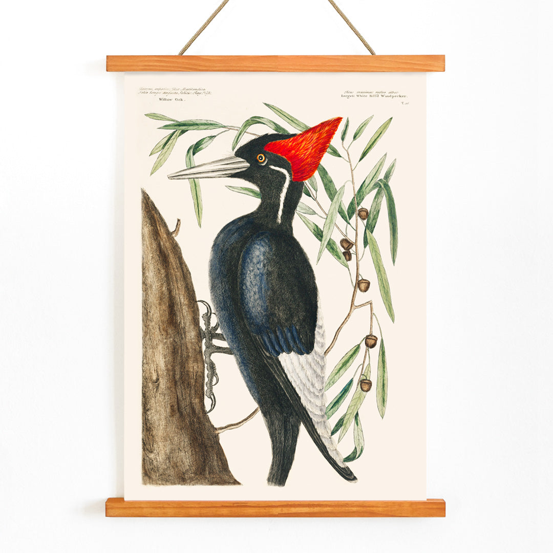 , with wooden magnetic frame on white background