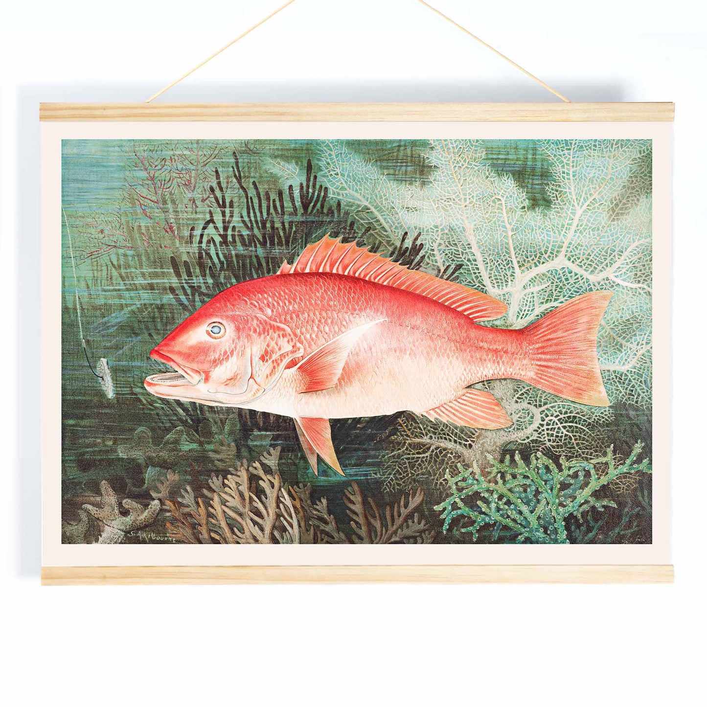 Northern Red Snapper illustration by Samuel Kilbourne swimming among coral reef plants marine wall decor chromolithograph artwork, with wooden magnetic frame on white background