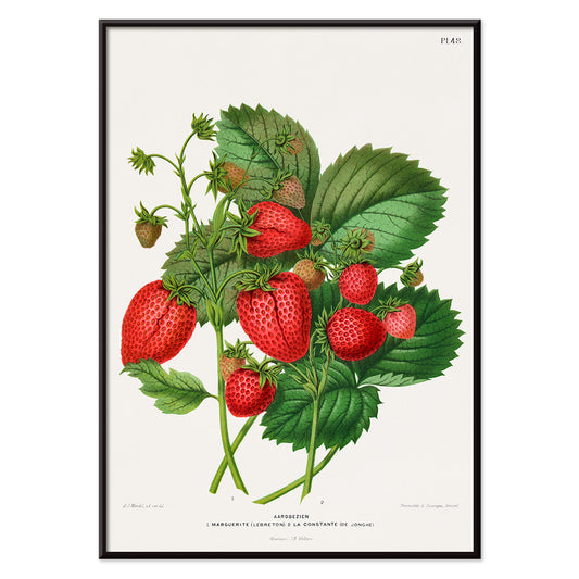 , with black aluminium frame on white background