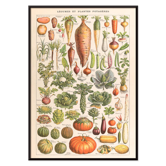 , with black aluminium frame on white background