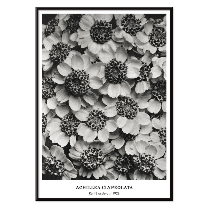 , with black aluminium frame on white background