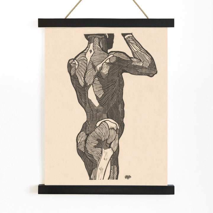 Anatomical illustration of human glute muscles from the back artwork by Reijer Stolk titled Glute Muscles detailed muscle study poster, with wooden magnetic frame on white background