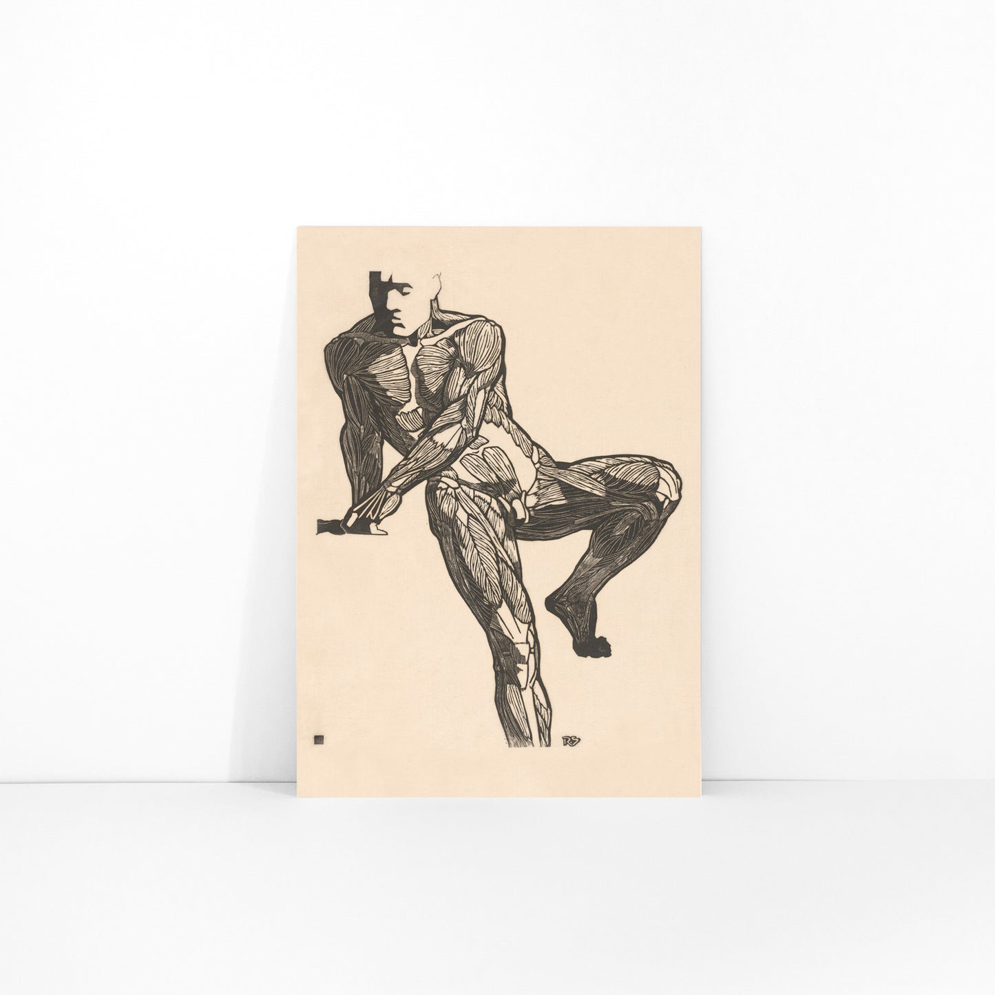 Detailed anatomical drawing of human chest muscles by Reijer Stolk showing a seated male figure poster artwork, framed and displayed in modern living room decor