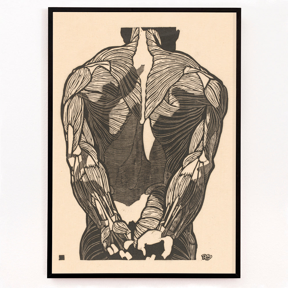 Closeup detail of Detailed anatomical illustration of human back muscles artwork titled Back Muscles by Reijer Stolk with intricate linework