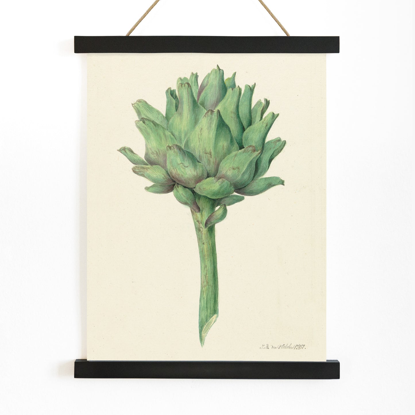 Botanical illustration poster of a green artichoke by Jean Bernard detailed artwork, with wooden magnetic frame on white background