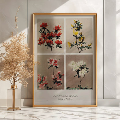 Hand colored collotype artwork of vibrant azalea flowers by Kazumasa Ogawa poster featuring various azaleas, framed and displayed in modern living room decor