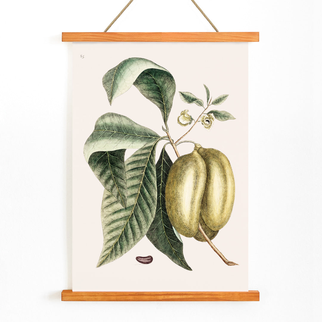 , with wooden magnetic frame on white background