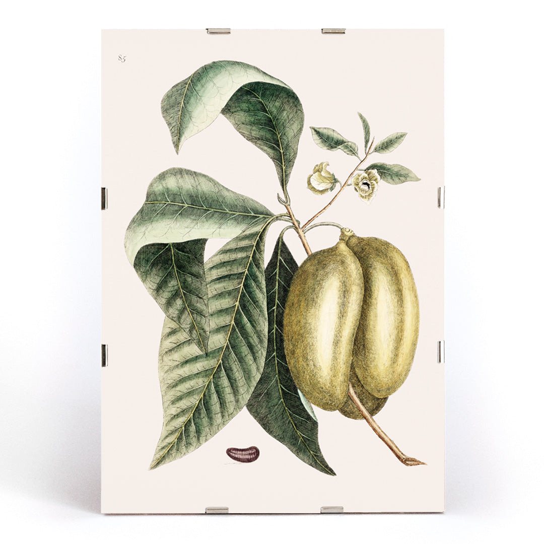 , framed and displayed in modern living room decor