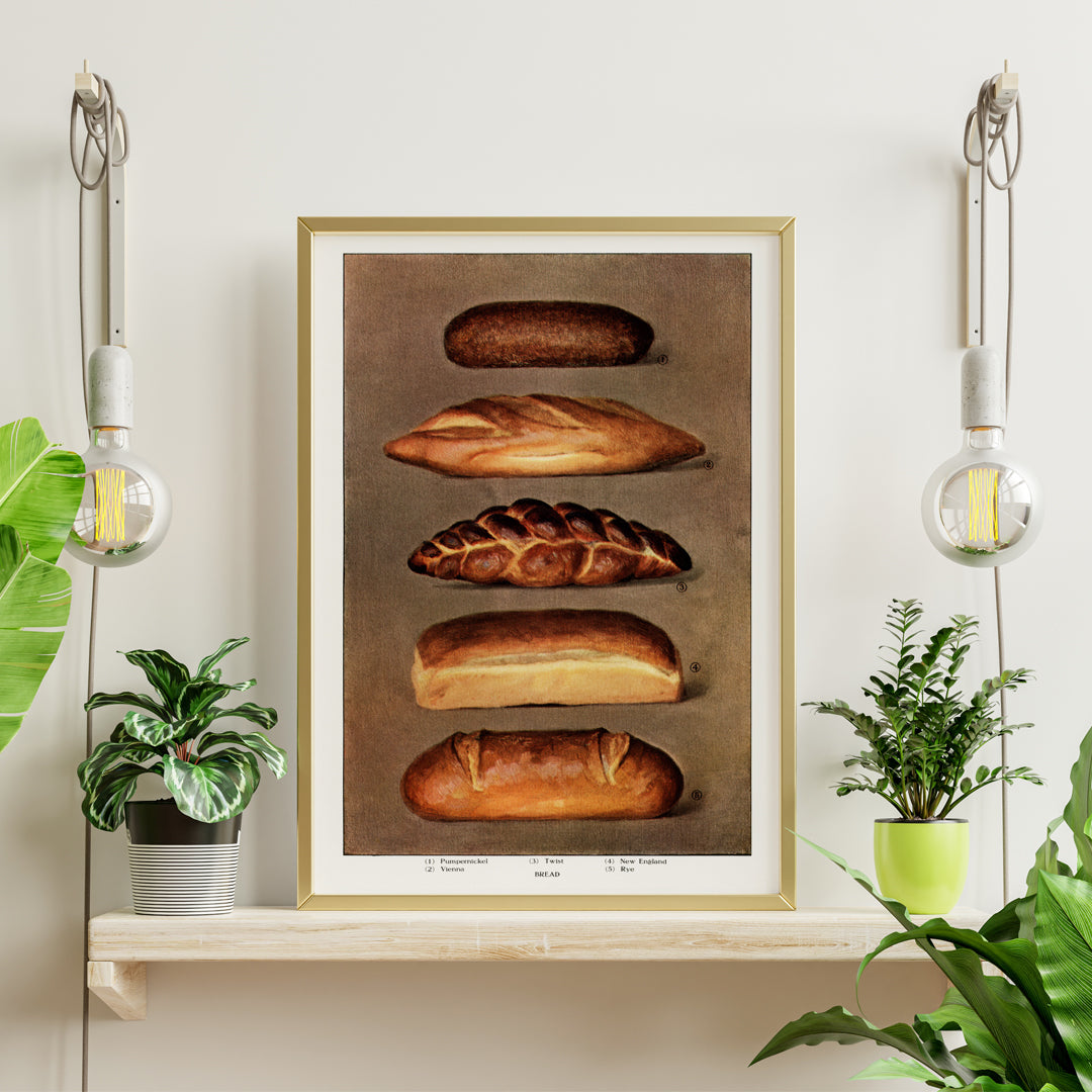 Vintage illustration and poster of assorted bread loaves from The Grocers Encyclopedia classic artwork, framed and displayed in home decor