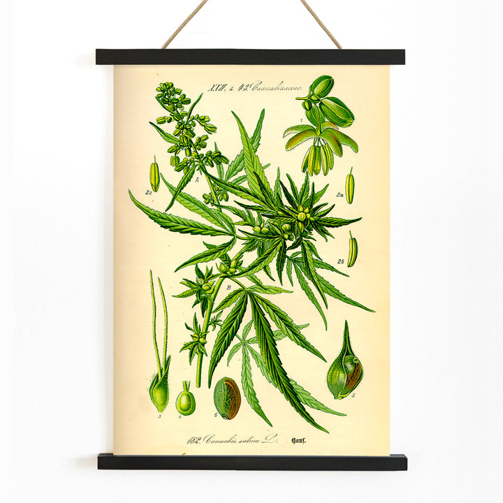 , with wooden magnetic frame on white background