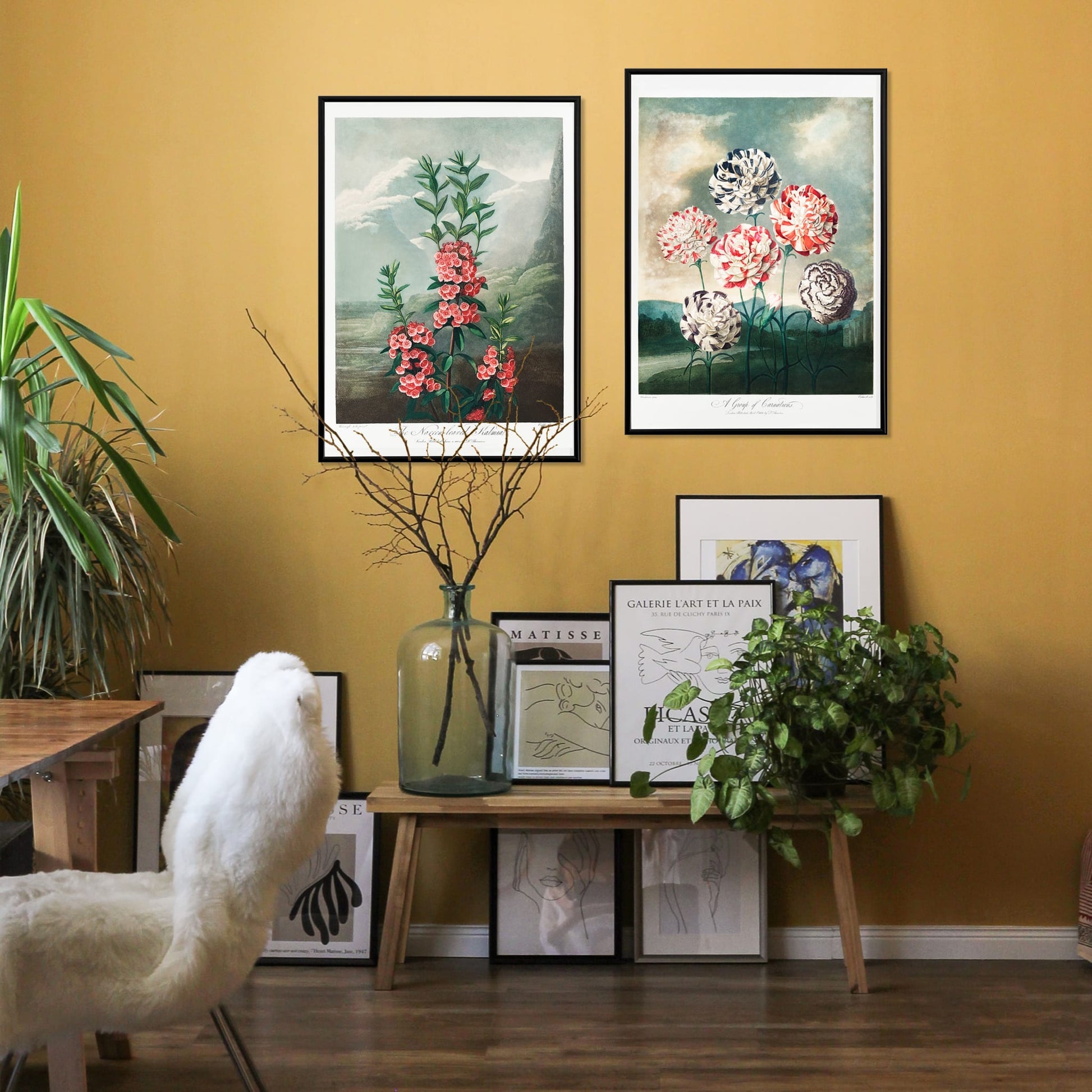 Colorful carnations botanical illustration and poster against dramatic sky by Robert John Thornton, framed and displayed in home decor