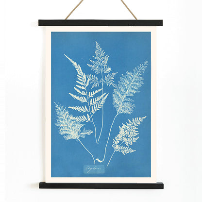 Botanical cyanotype art print titled Ceylon by Anna Atkins featuring delicate white fern leaves on a blue background, with wooden magnetic frame on white background