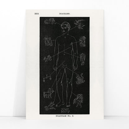 Human body diagram with astrological zodiac symbols and body part connections from Solar Biology by Hiram Erastus Butler, framed and displayed in modern living room decor