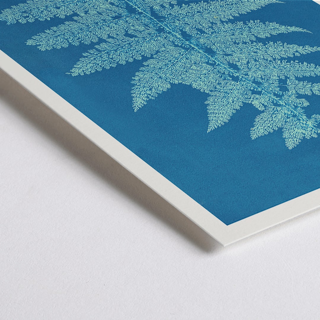 Closeup detail of Fern Cianotipia botanical cyanotype artwork by Anna Atkins showing a detailed fern against a blue background poster