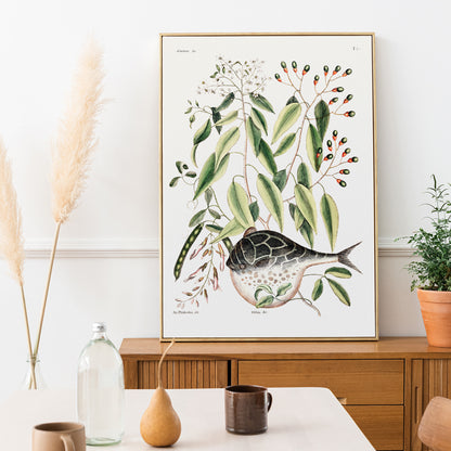 , framed and displayed in home decor