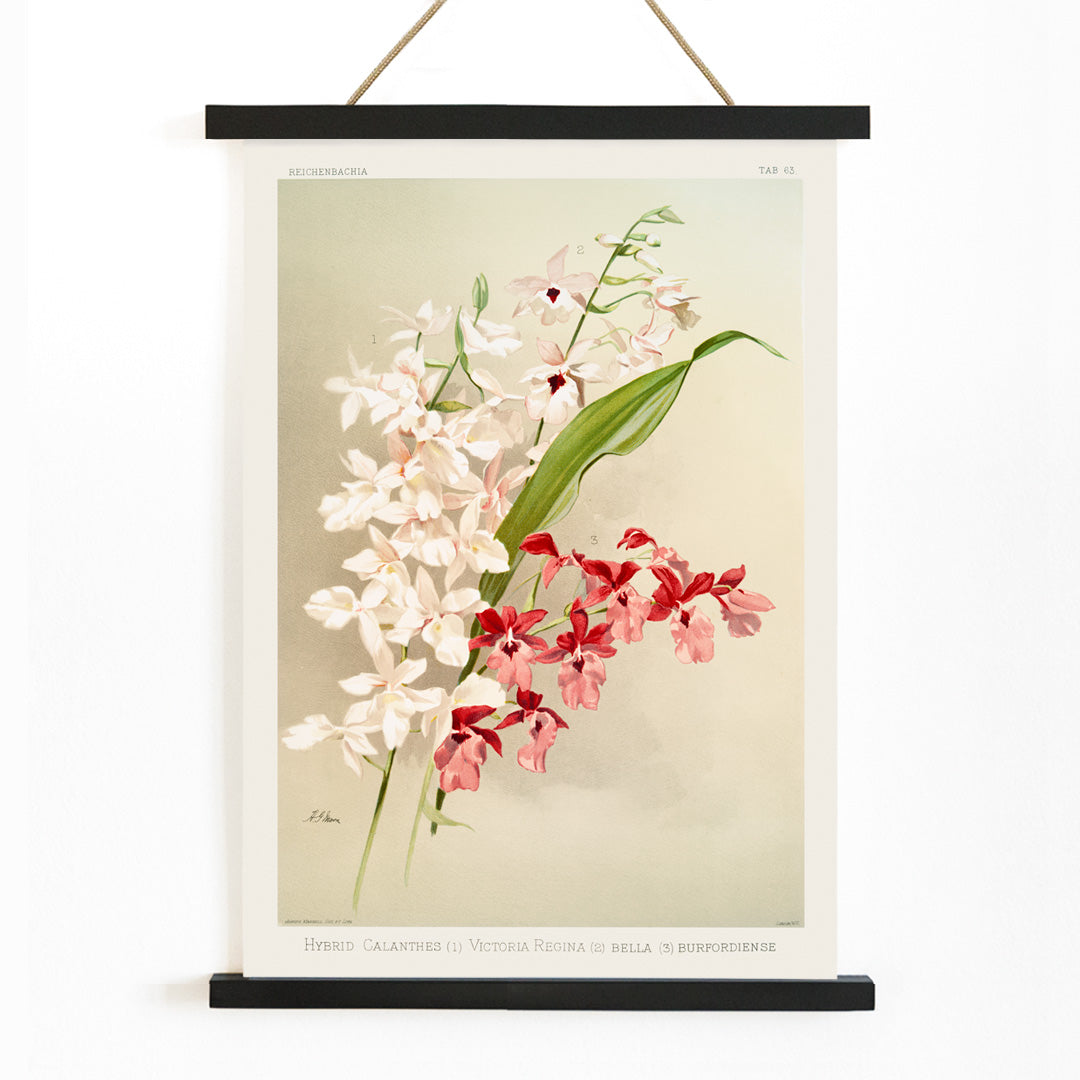 , with wooden magnetic frame on white background