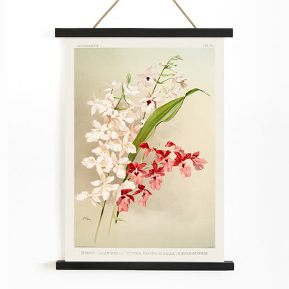 , with wooden magnetic frame on white background
