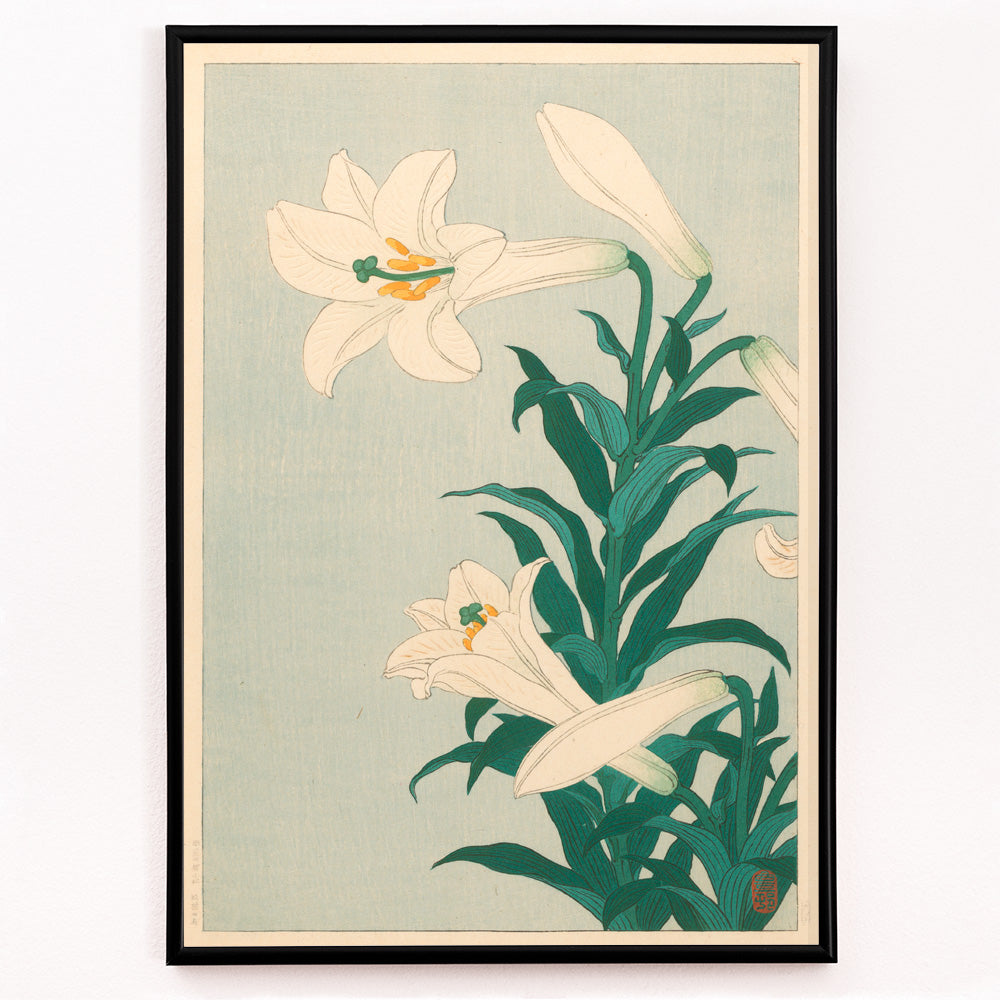 Closeup detail of White lilies floral artwork by Ohara Koson with green leaves on light blue background poster Lelies flowers