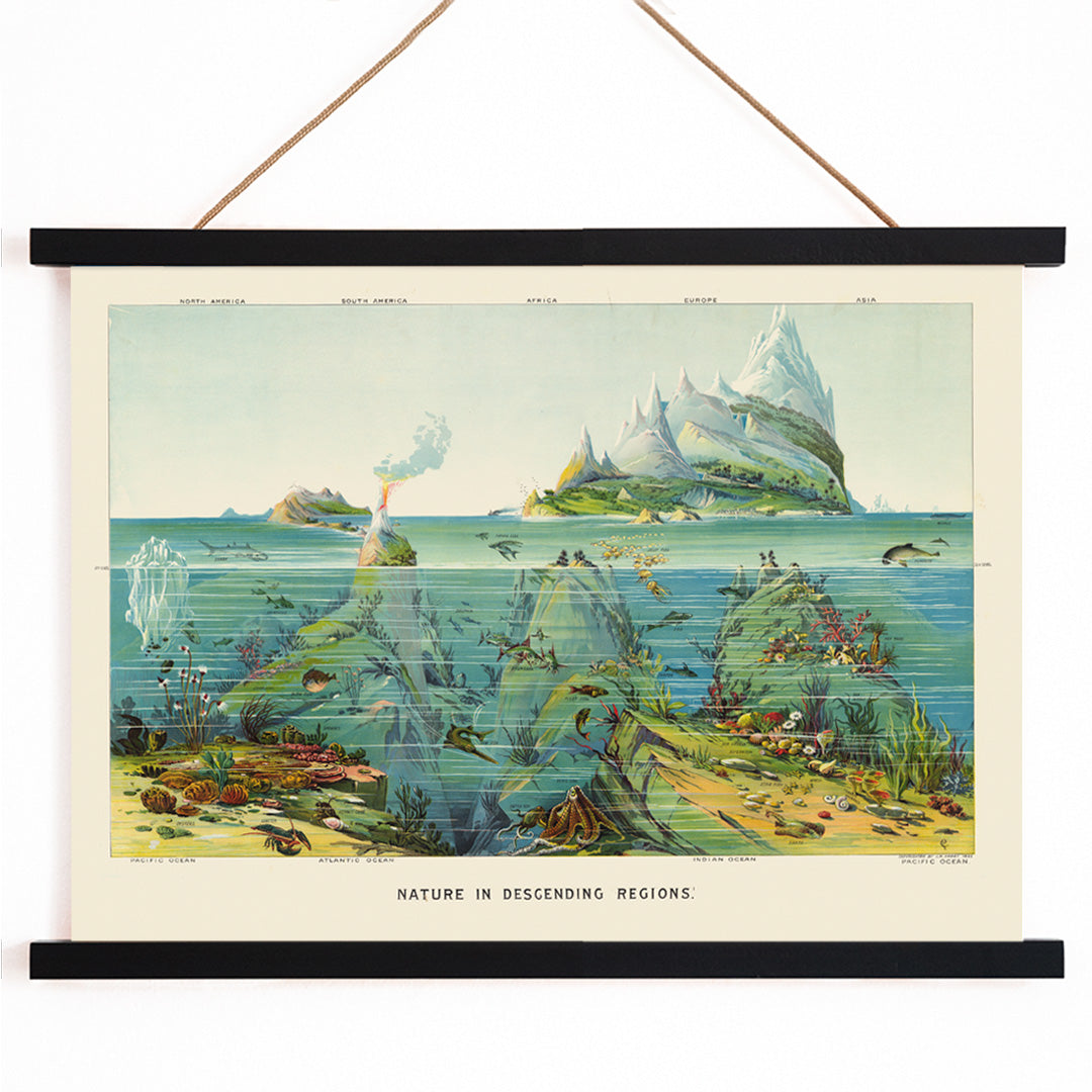 , with wooden magnetic frame on white background