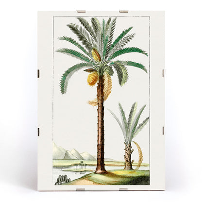 Hand drawn palm tree art print poster with detailed leaves and landscape background, framed and displayed in modern living room decor