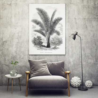 , framed and displayed in home decor