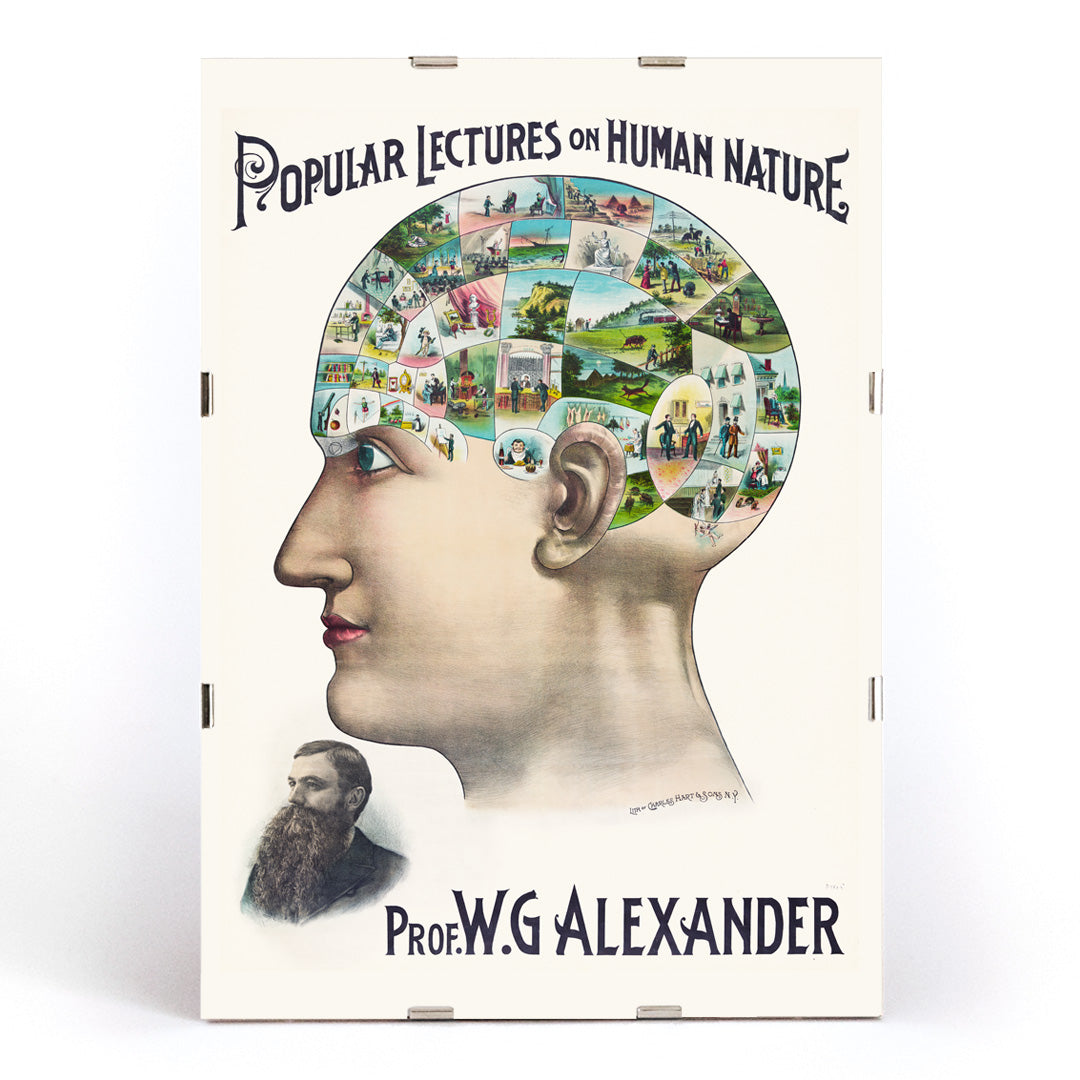 , framed and displayed in modern living room decor