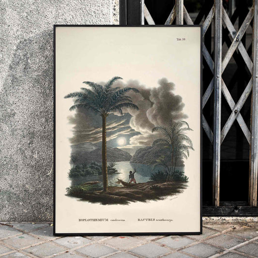 Tropical landscape with palm trees and river at sunset with canoe by Carl Friedrich Philipp von Martius from Historia Naturalis Palmarum Bactris acanthocarpa, framed and displayed in home decor
