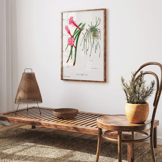 Rattail Cactus artwork and poster by Famille Der Cacteen featuring detailed illustrations of blooming red and pink flowers on cactus stems in a pot, framed and displayed in home decor