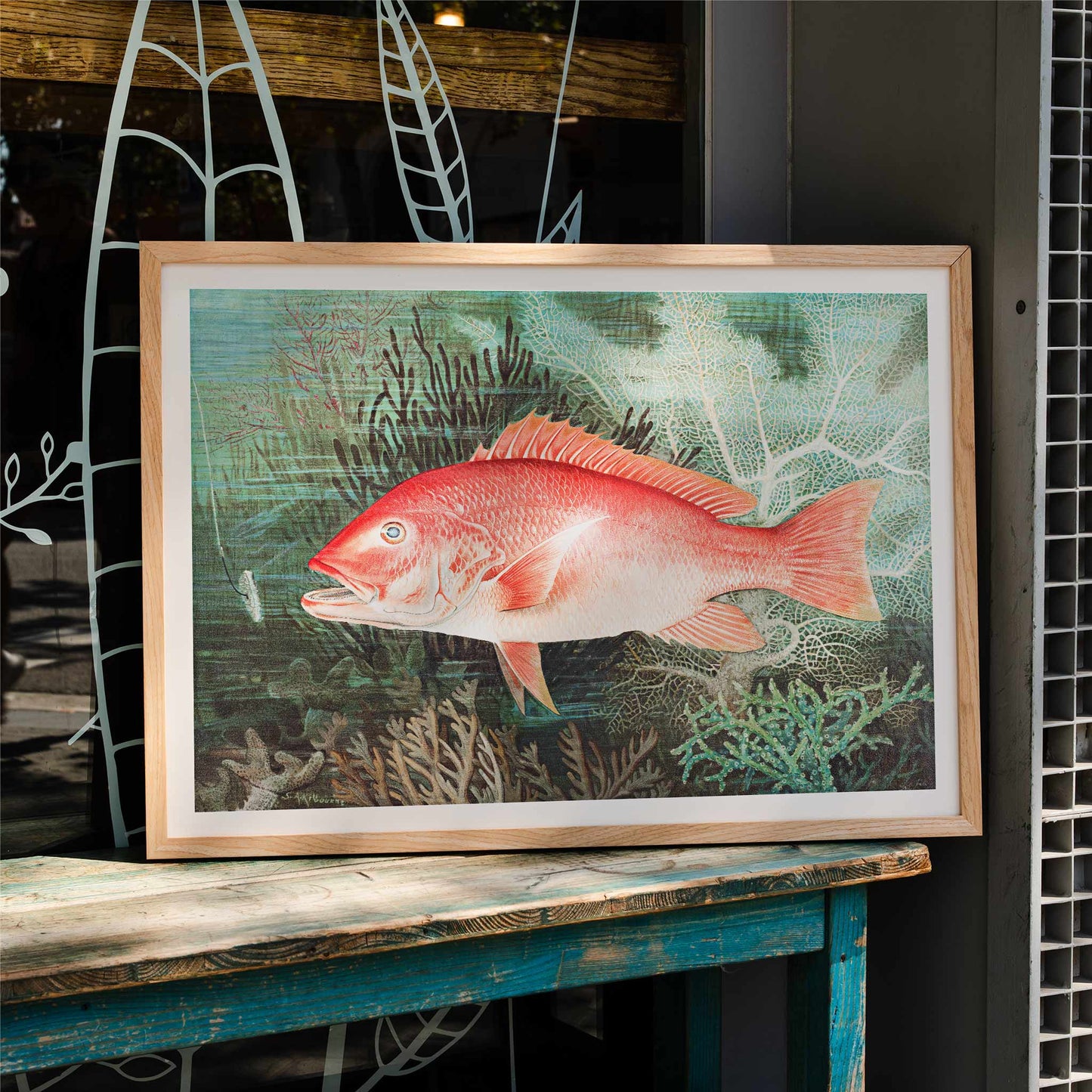 Northern Red Snapper illustration by Samuel Kilbourne swimming among coral reef plants marine wall decor chromolithograph artwork, framed and displayed in home decor