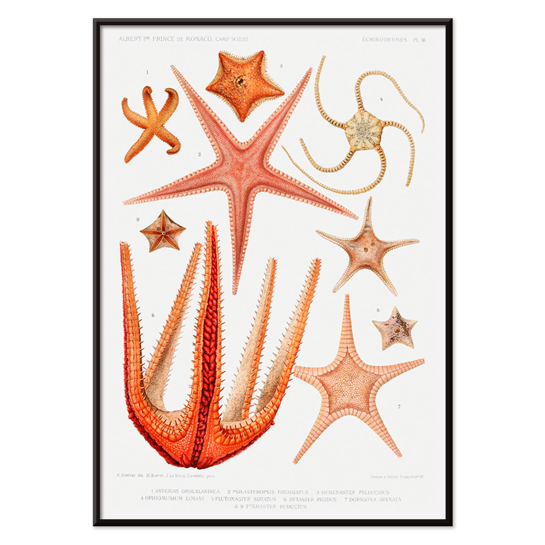 , with black aluminium frame on white background