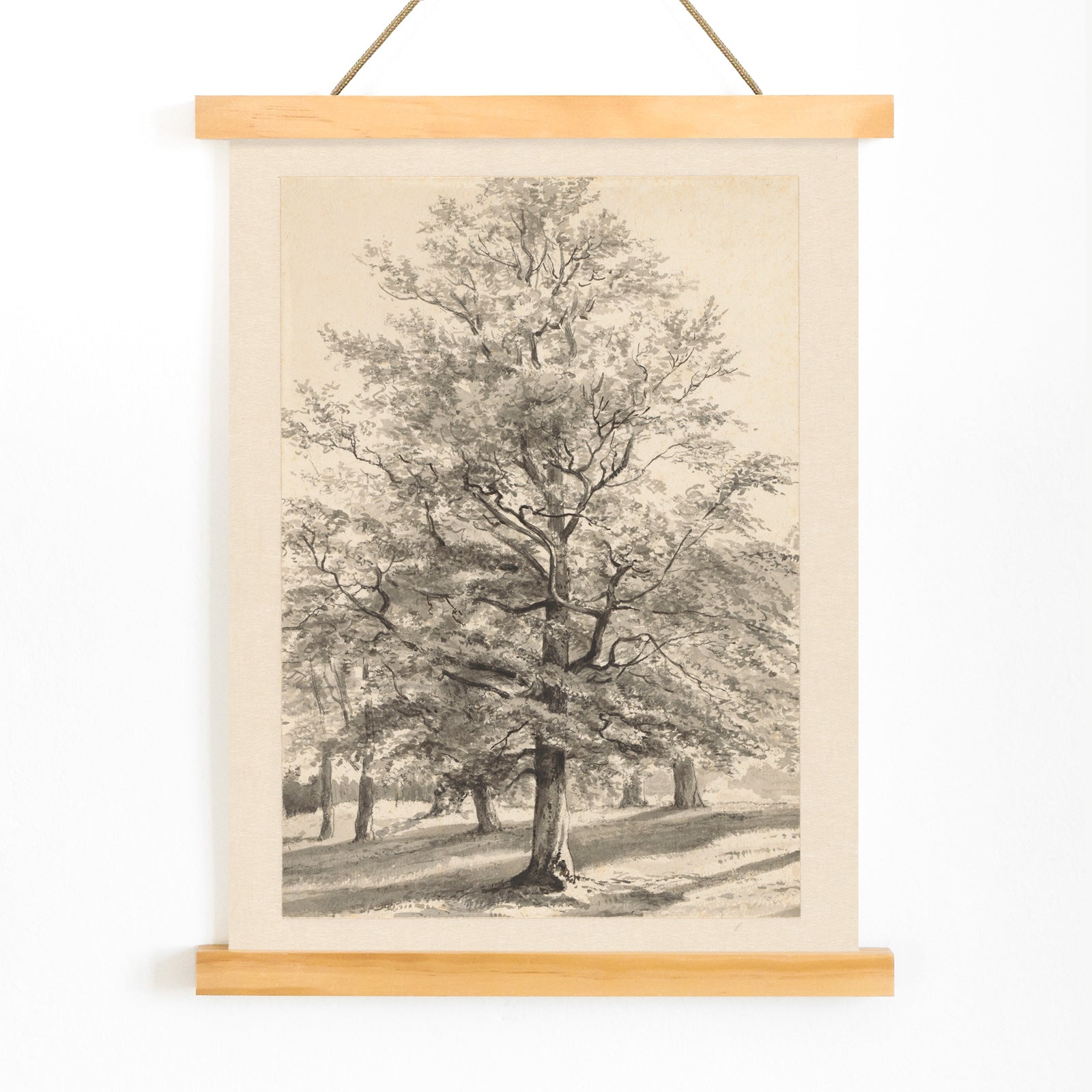 Detailed drawing of a large tree in a sunlit natural landscape titled Big Tree by Cornelis Steffelaar poster, with wooden magnetic frame on white background