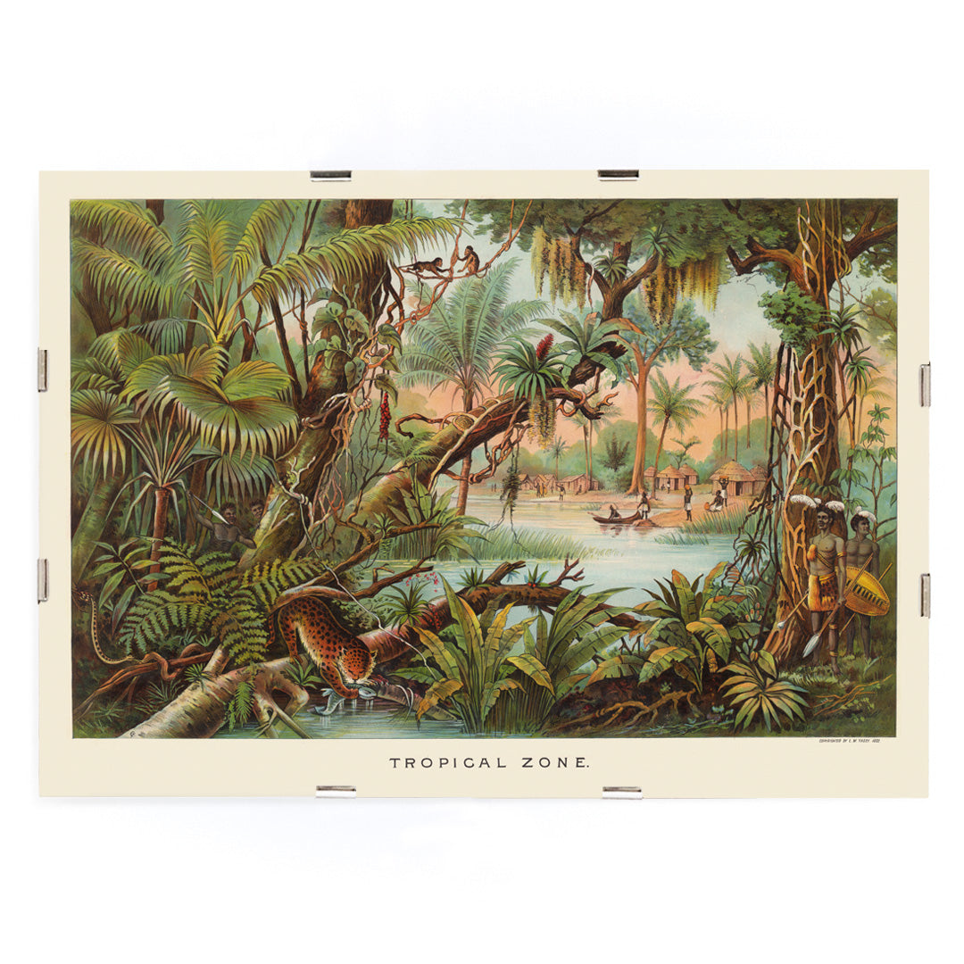 , framed and displayed in modern living room decor