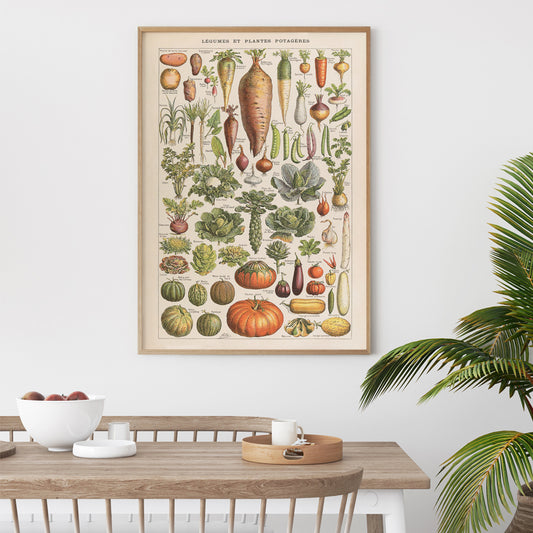 , framed and displayed in home decor