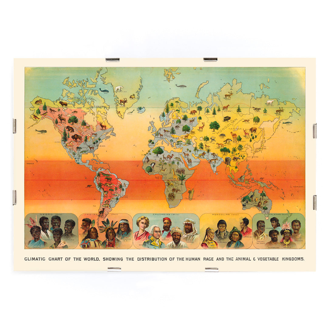 , framed and displayed in modern living room decor