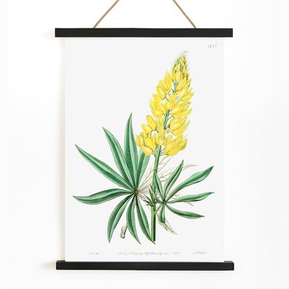 , with wooden magnetic frame on white background